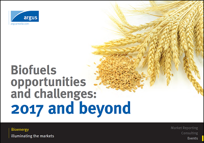 Biofuels Opportunities and Challenges 2017 thumbnail.PNG